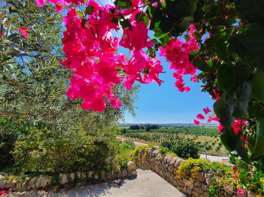 Villa Calma Ното Екстер'єр фото