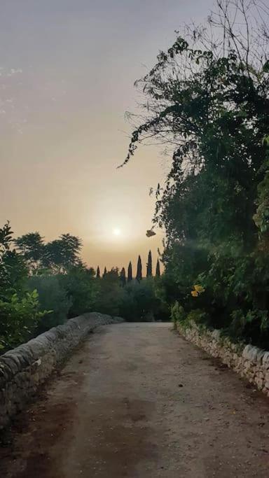 Villa Calma Ното Екстер'єр фото